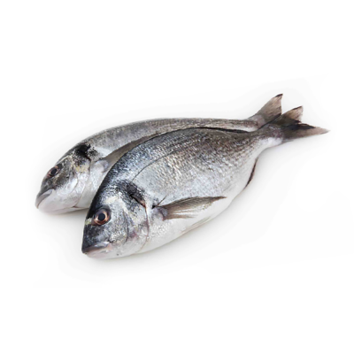 Дорадо зам. Н/Р 400-600 Турция кор (5 кг), квант