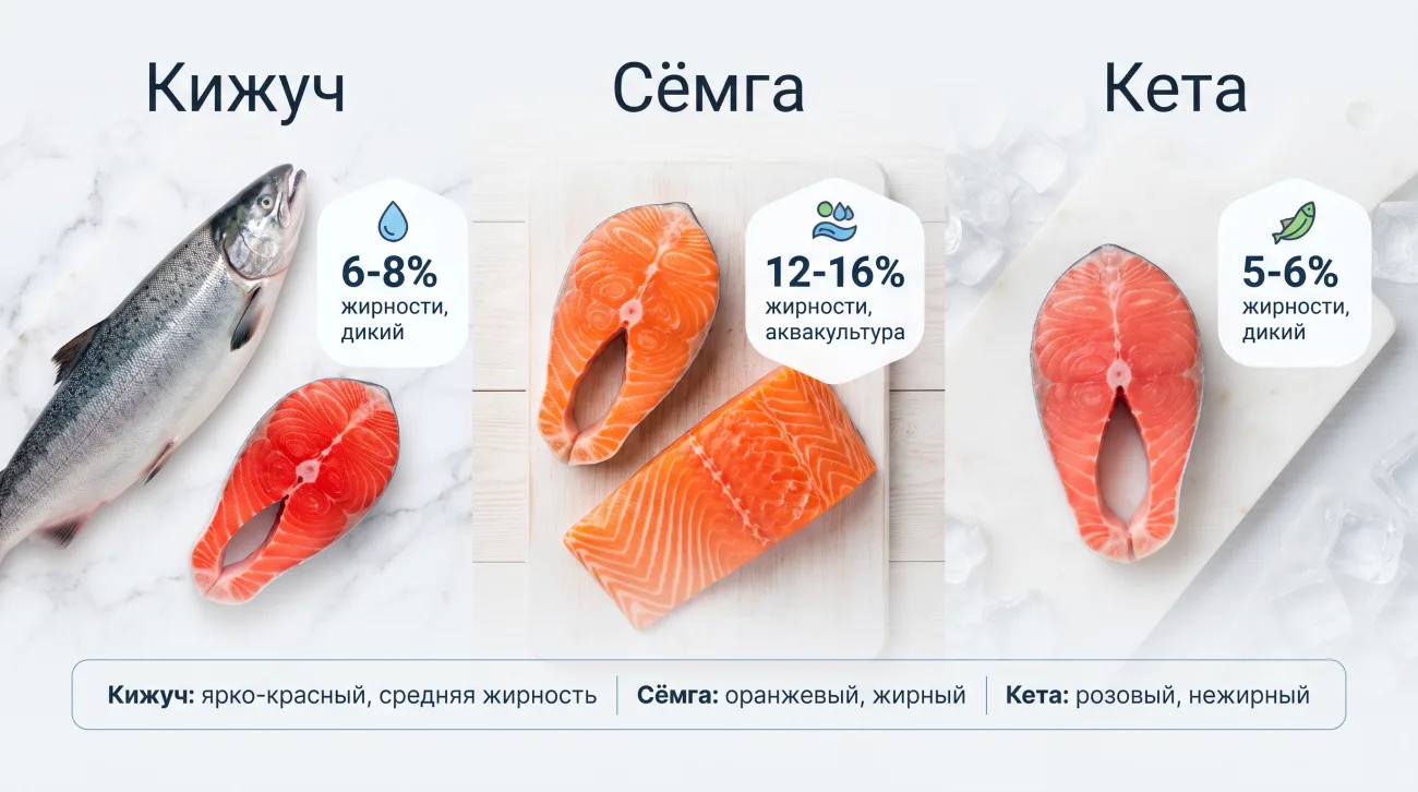 Кижуч: что за рыба, вкус, польза и чем отличается от лосося и сёмги
