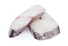 Макрурус Макрурус