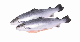 Горбуша ПСГ