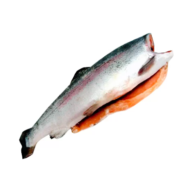 Форель потр.б/г 1.3-1.8 prem с/м IQF Sagun (море)