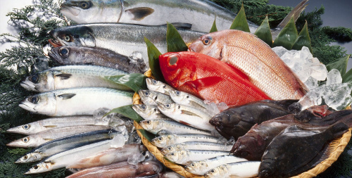 Покупка рыбы оптом: выгоды и риски
