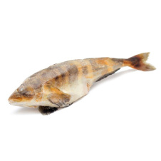 Терпуг Терпуг