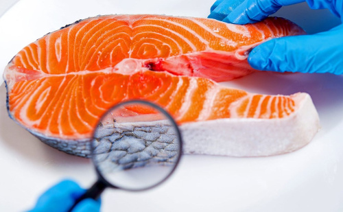 Проверка качества рыбы при приёмке: на что обращать внимание