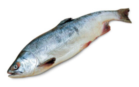 Горбуша н/р 1/18 Прометей 0,7-1