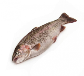 Форель зам. Н/Р 800+ Армения кор (20 кг), вес