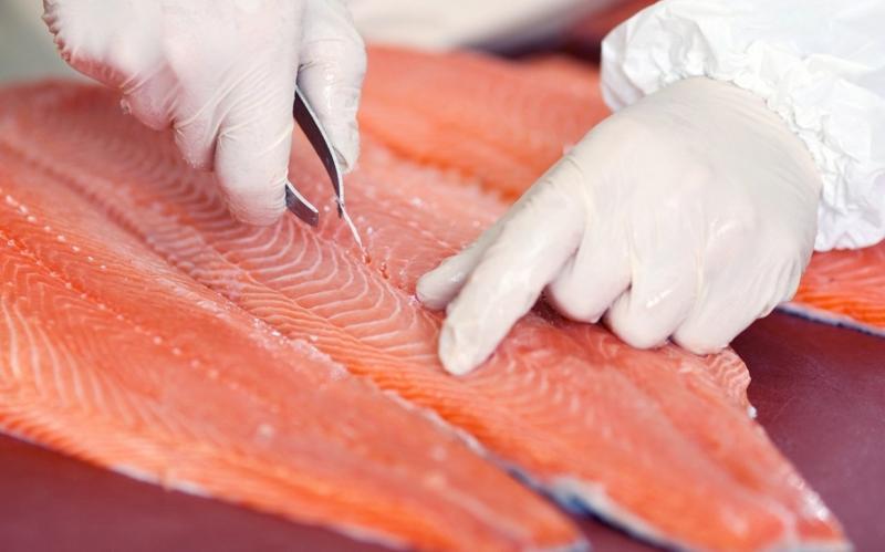 Фото Филетирование рыбы