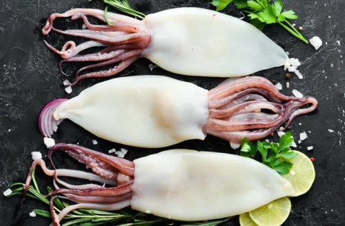 Популярные виды кальмаров в магазинах и типы их разделки