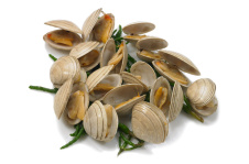 Клемы вонголе