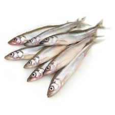 Мойва Мойва