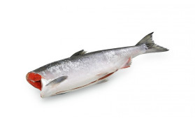 Горбуша ПБГ крупная серебро (Вылов Курилы) 0,8+