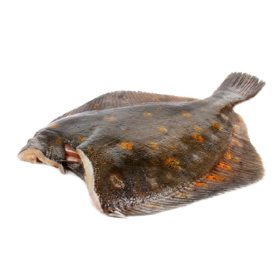 Камбала пятнистая, с/м б/г, потрош. 300-500 гр