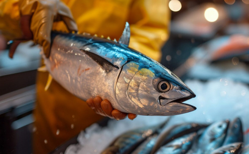 Российская или импортная рыба: что выбрать для своего бизнеса
