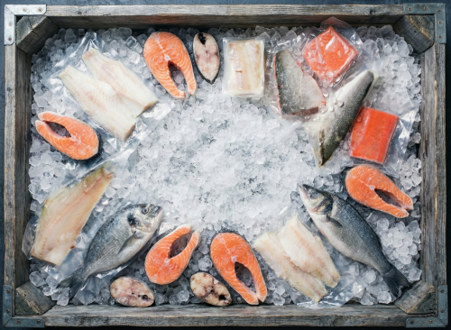 Всё о замороженной рыбе: преимущества, срок хранения и условия транспортировки