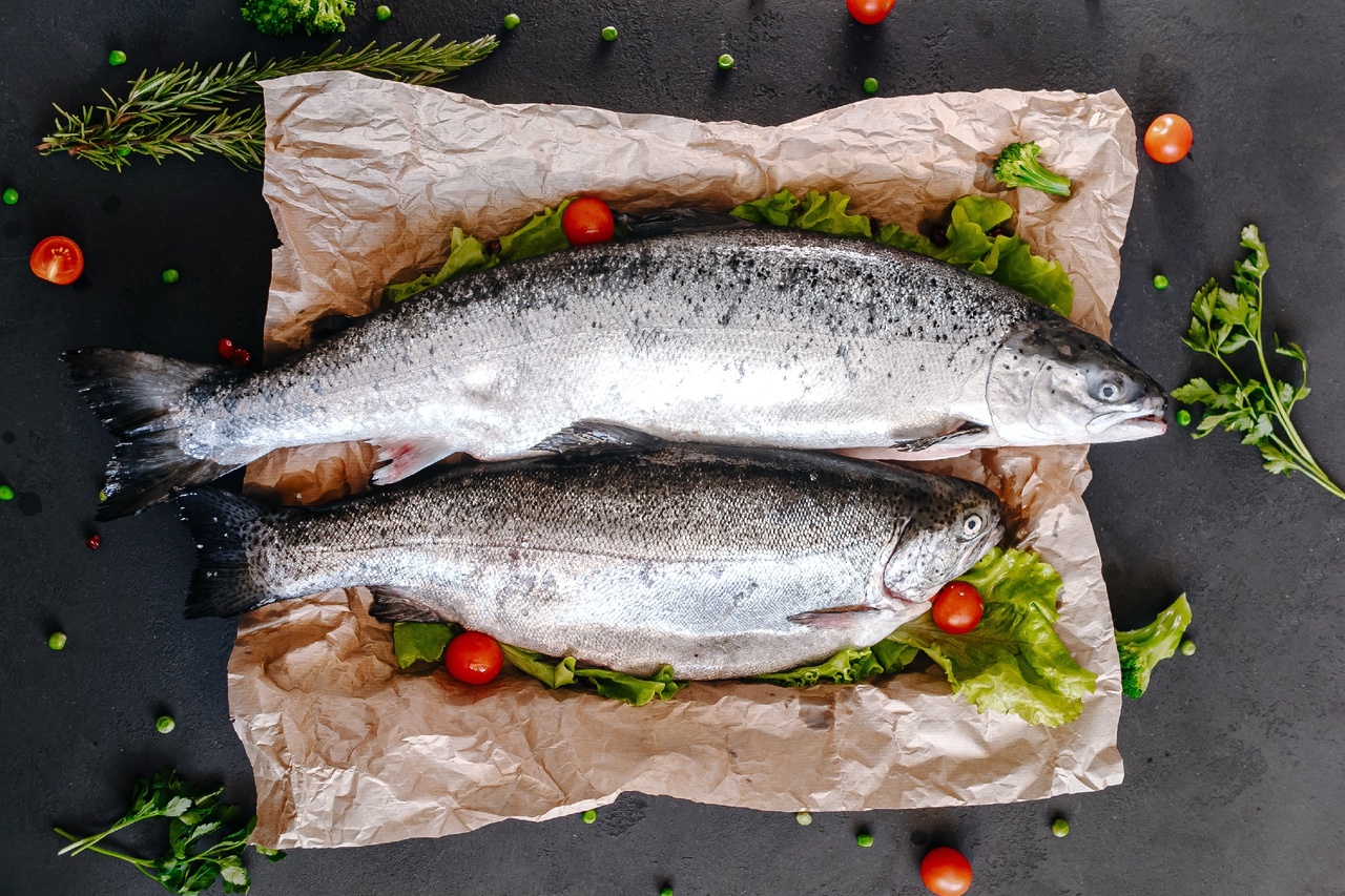 Статья на тему: Разница между лососем, кетой, кижучом и семгой: как не ошибиться при покупке Фото для статьи: Разница между лососем, кетой, кижучом и семгой: как не ошибиться при покупке