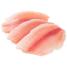 Тилапия Тилапия