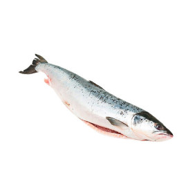 Кижуч ПСГ М 1/22 "Капитан Теплюков" 2+