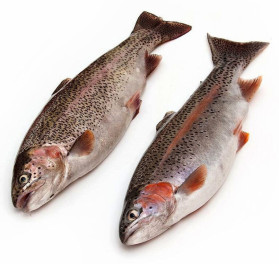 Форель зам. Н/Р 800+ Армения кор (18 кг), квант
