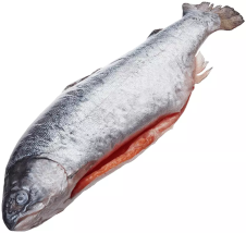 Речная Речная