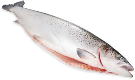 Лосось потр.с/г 8-9 sup охл.