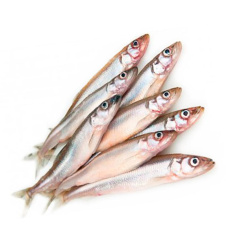 Корюшка Корюшка