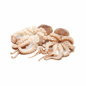 ОСЬМИНОГ ОЧИЩЕННЫЙ ОТБИТЫЙ 1,6- 4кг. В форме цветка,
 отбитый чищенный, OCTOPUS VULGARIS